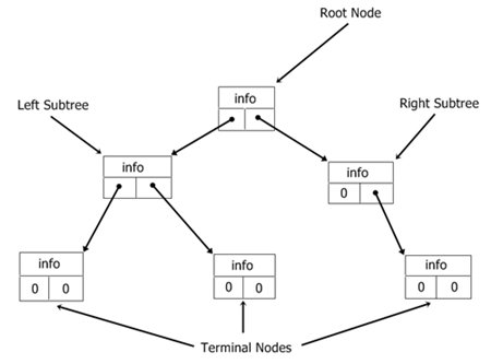 binary tree in c