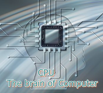cpu brain of computer