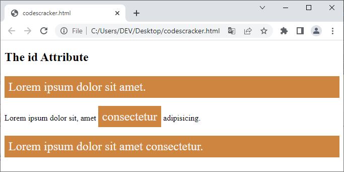 html attribute class attribute example