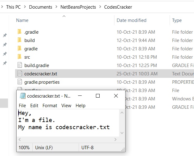 java read and display the content of file