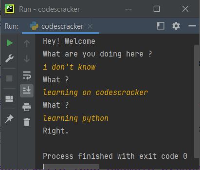 python while loop code